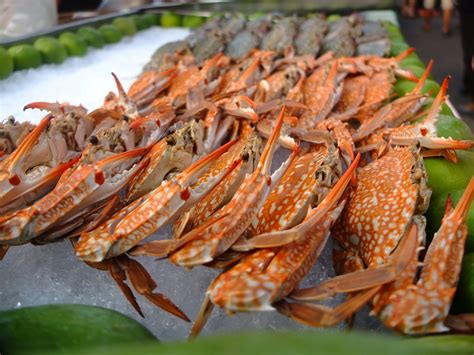  Dungeness-Rapu: Kiusauksen Herkkupalat Merialueilla ja Villiintyneen Maun Synonyymi