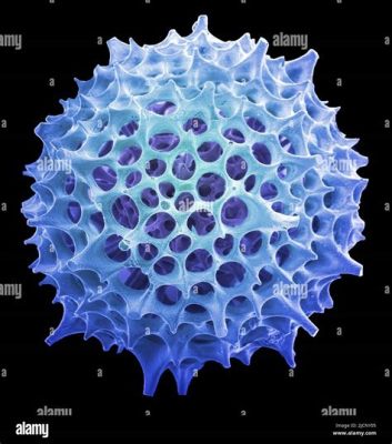  Radiolaria! Kuvataide luontoon kirjattu - mikroskooppisen maailman arkkitehtina esiintyvä Radiolaria!