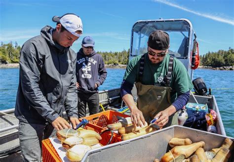  Geoduck: Kaksiosaisen ja merenpohjan mysteeri!