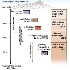  Lavan Käärömittari! Kimalteleva Metamorfoosi ja Metsän Salaperäiset Äänet