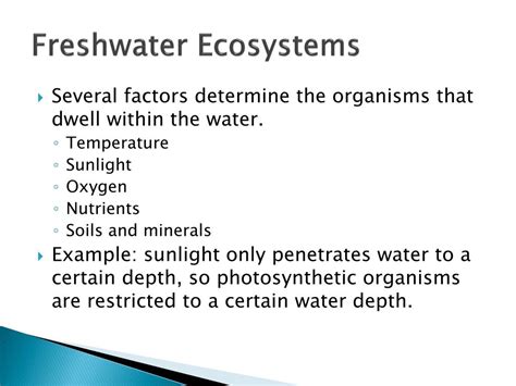  Stylochus! A Microscopic Marvel Exploring the Depths of Freshwater Ecosystems